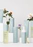 Pure&Botanics, limpieza facial